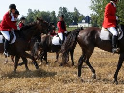 554710_10151090369193585_1987453143_n